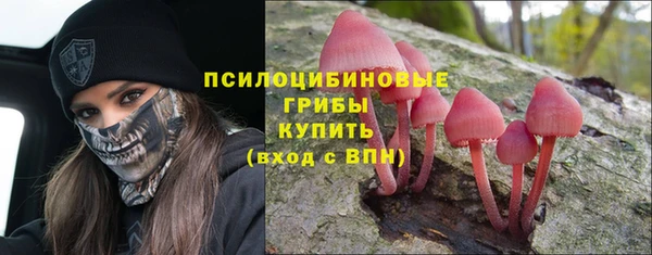 Альфа ПВП Ивангород