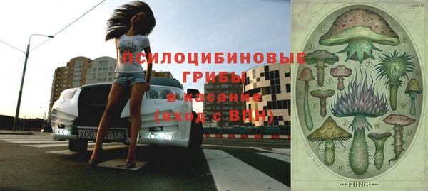 mdpv Пестово