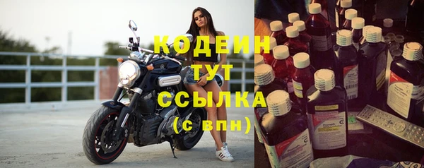 ешки Пересвет