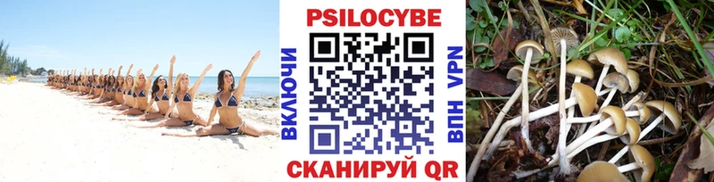 ссылка на мегу   Курчатов  Галлюциногенные грибы прущие грибы 